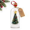 MerryEcho™ - Message in a Bottle Ornament